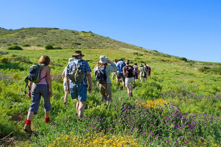 Geführte Wanderungen in der Wanderregion Dachstein-West